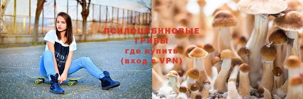 гашик Баксан